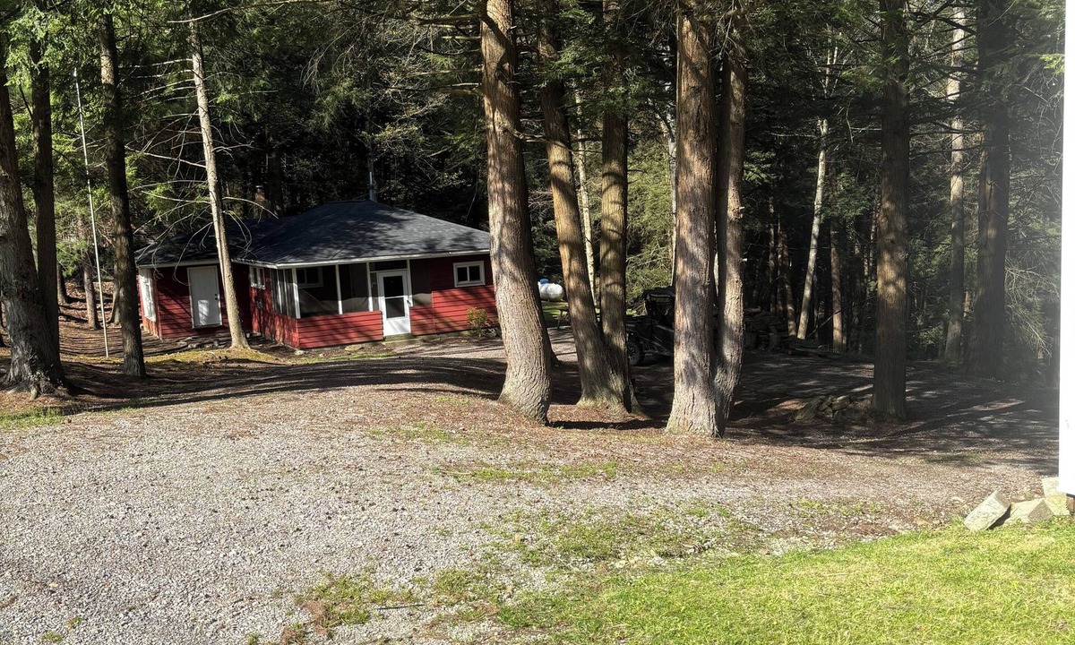 Clarion Cabin | Adorable 2-bedroom cabin in Clarion perfect for a relaxing getaway