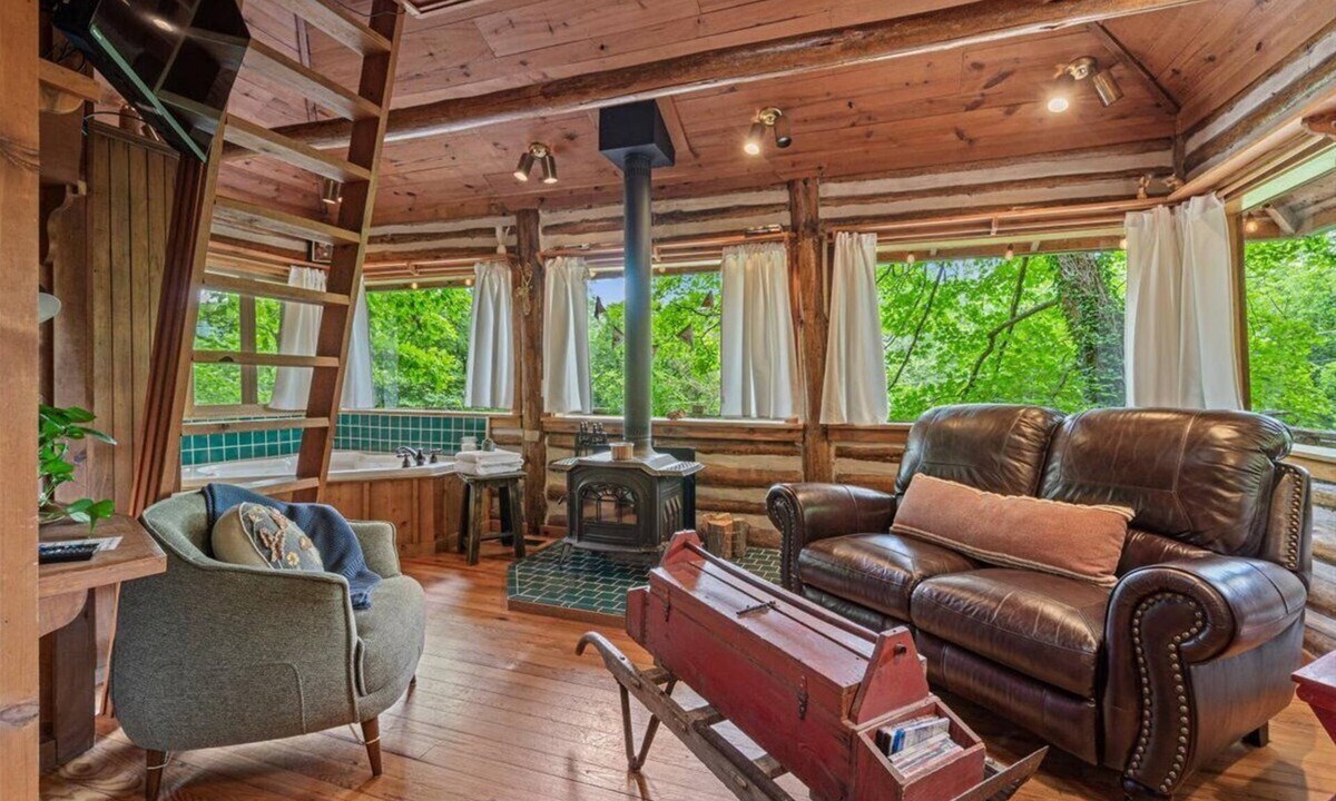 Eureka Springs Cabin | 🐠COZY LAKEVIEW CABIN🌲 - Jetted Tub, Fireplace, WiFi + 3 miles to Dwtn Eureka