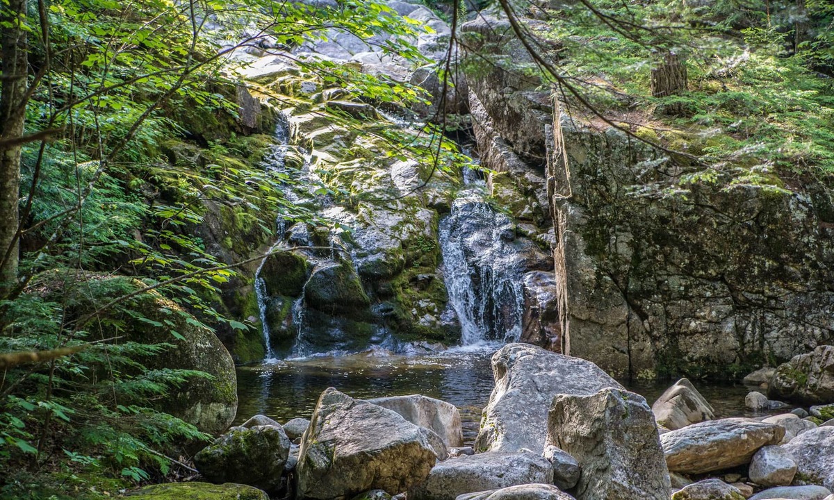 Chatham House | Cozy Off-grid stay in the heart of the forest