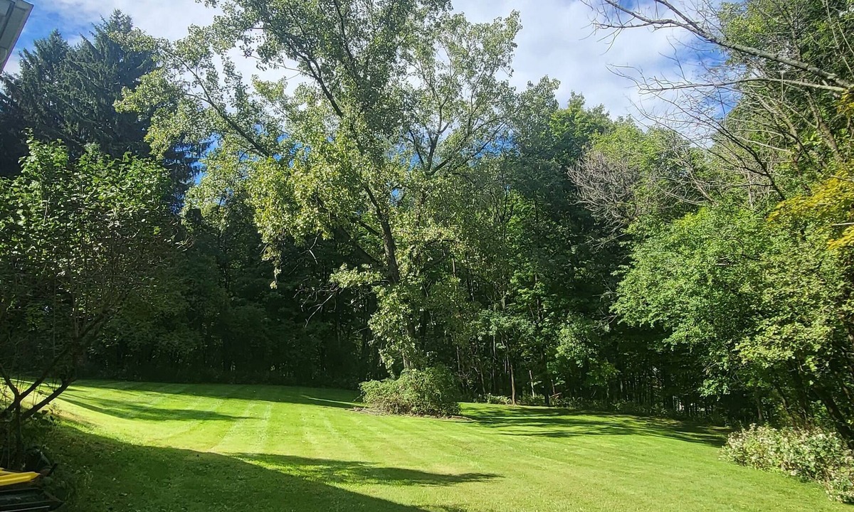Town of Brunswick Apartment | Cozy studio in charming Brunswick/Troy in quiet neighorhood
