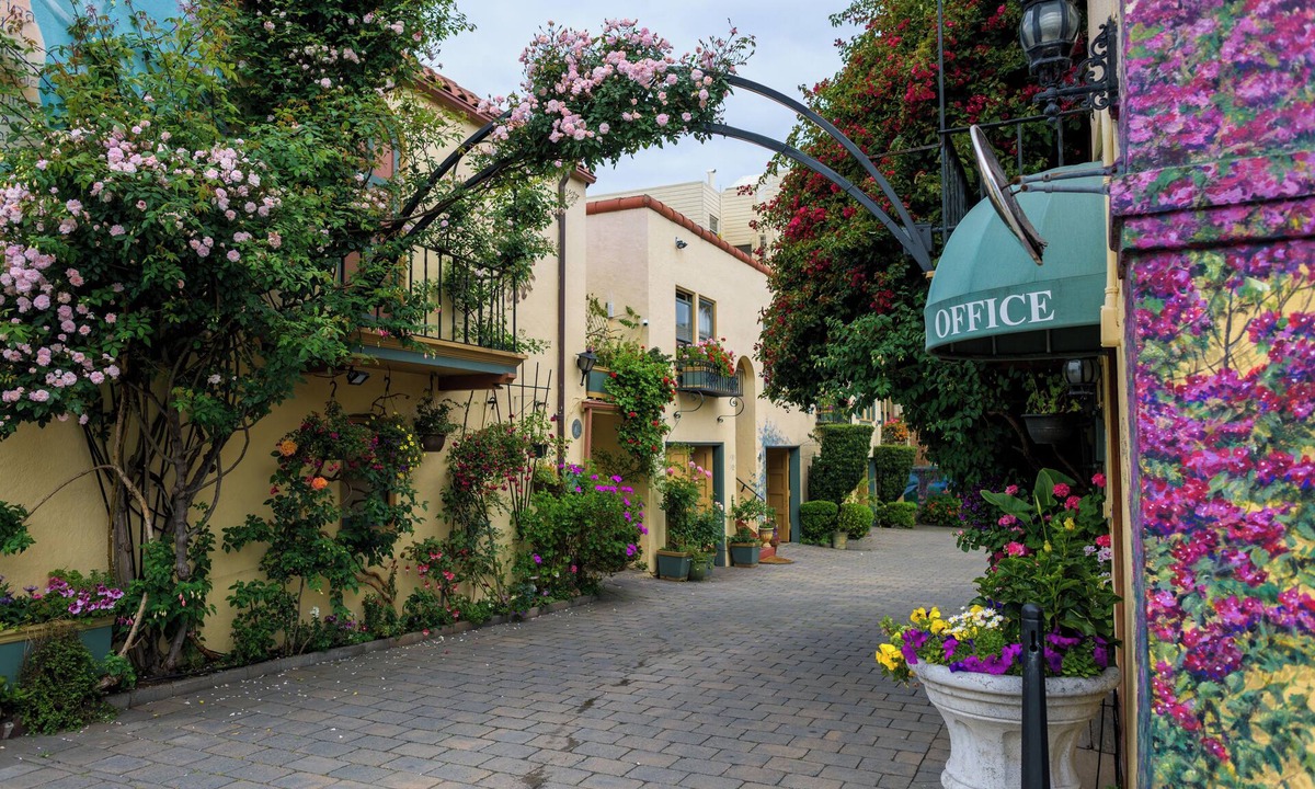 Marina District Hotel | Experience a Tranquil Oasis at Marina Motel -San Francisco's Best Kept Secret!