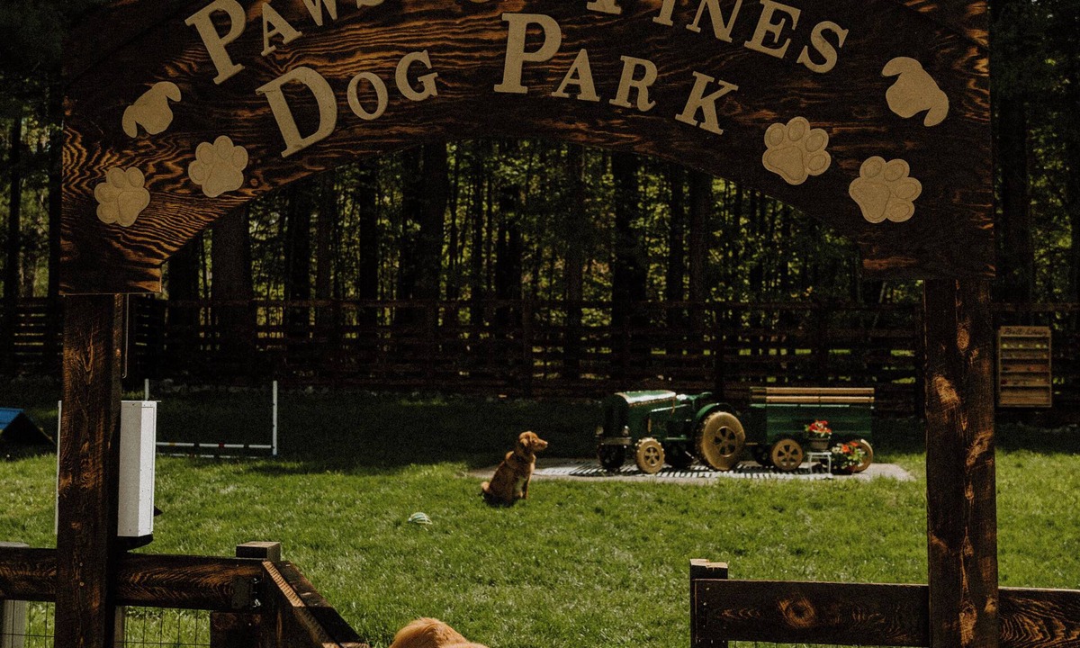 Greenville House | Greenville Getaway- Paws & Pines: pet- focused stay with HOT TUB & GAME ROOM
