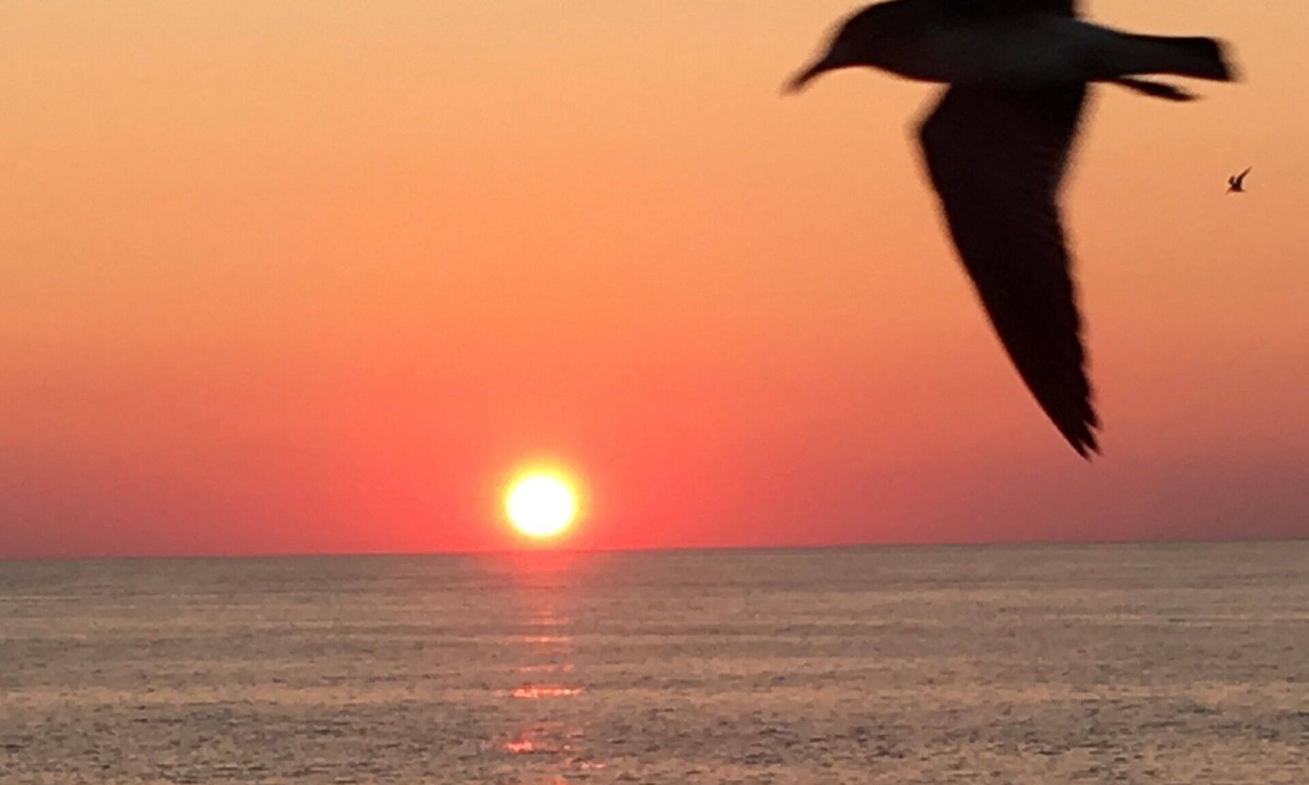 Miramar Beach Condo | It's time for that Beach Getaway!