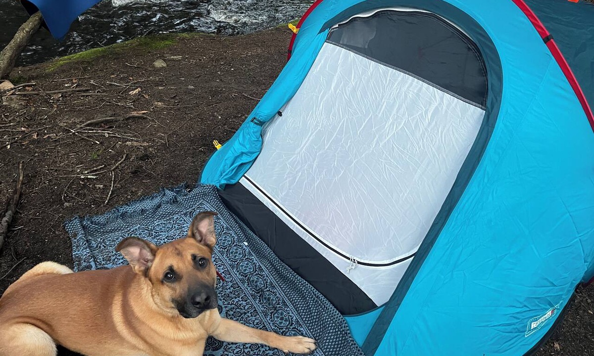 Harris RV Rental | Kucibarix Forest Camping Near Bethel Woods, 15 minutes to Bethel Woods, Casino,
