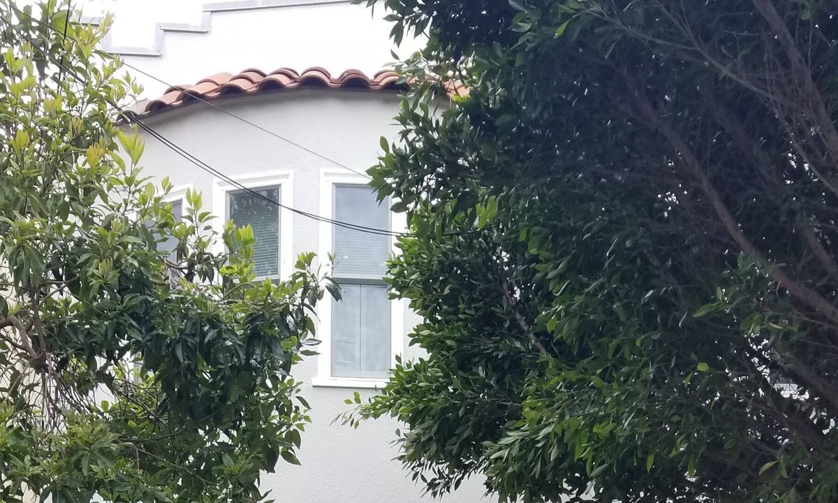 Noe Valley House | Lovely arts and craft style home with wonderful large garden
