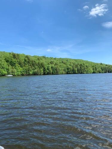 Mongaup Valley House | Private Lakefront with Dock!