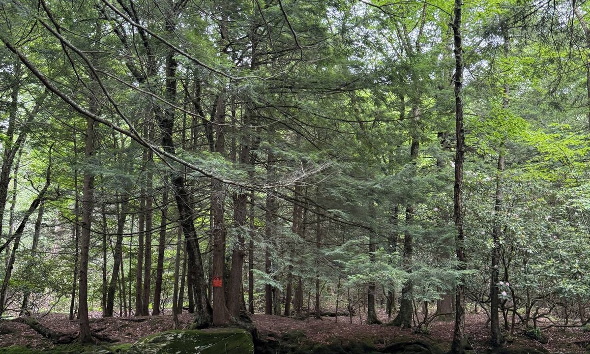 Harris RV Rental | River Camping Near Bethel Woods 15 mins to the concerts