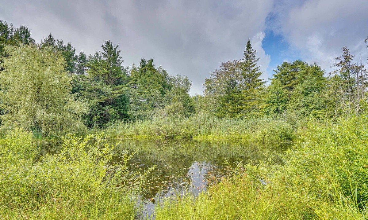 Town of Ephratah House | Serene Upstate New York Vacation Rental w/ Pond!