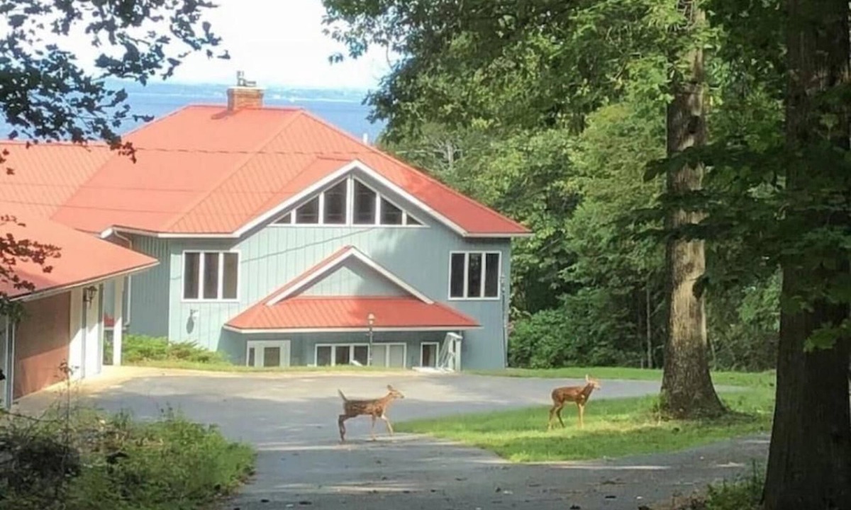 Town of Chesterfield House | Summertime at the Big Lake Lodge