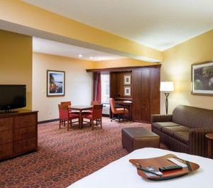 Hampton Inn Dam 