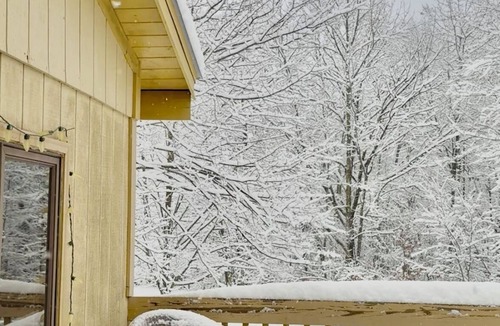 Fleischmanns House | Birch Tree Lodge - 5 min to Belleayre Ski, Cozy Cabin Getaway in the Catskills