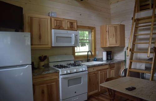 Northeast Somerset House | Cabin #1 Black Bear