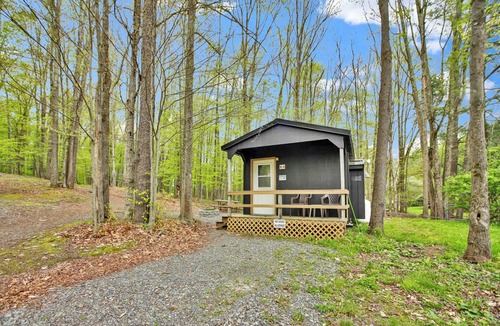 Wellsboro Cabin | Cabin full bath