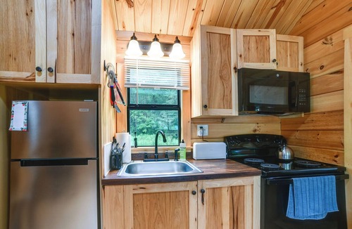 Sidney Center Cabin | Catskills Tiny Home Cabin: Surrounded by Nature!