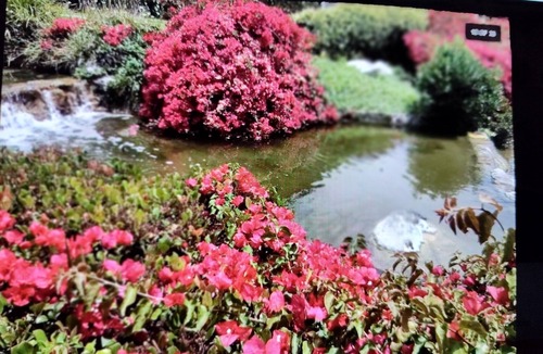 Carmel Valley Condo | Charming 2 bdrm condo, minutes to beach and parks, has pool, tennis, hot tubs.