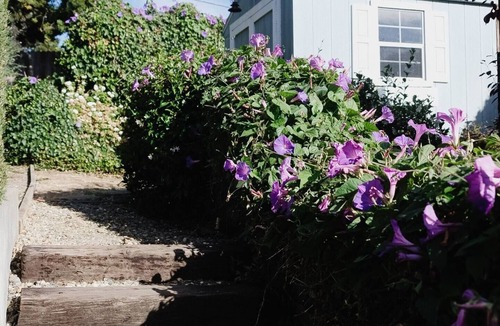 Vallejo House | Charming 2-bedroom home in quiet neighborhood