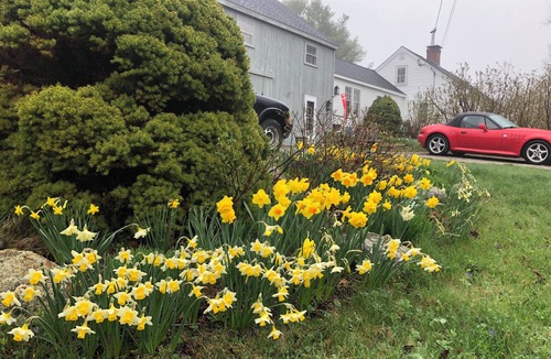Castine Cottage | Charming 3-BR cottage in rural Historic District - authentic Maine experience!