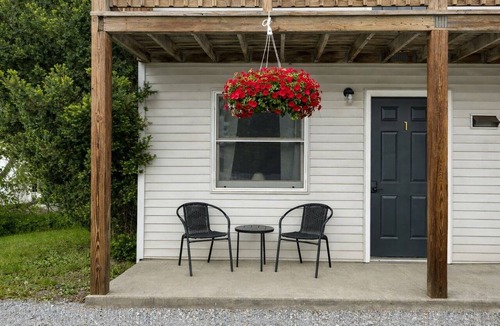 East Springfield Hotel | Comfy & Pet Friendly Stay Near Cooperstown -Single Queen