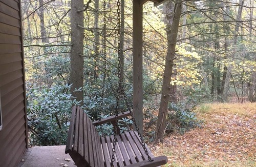 Mifflinburg Cabin | Cozy cabin, great for family and friends!