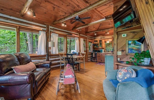 Eureka Springs Cabin | 🐠COZY LAKEVIEW CABIN🌲 - Jetted Tub, Fireplace, WiFi + 3 miles to Dwtn Eureka