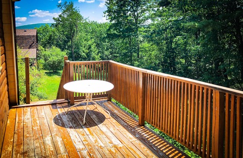 Circleville Cabin | Cozy Loft Cabin high above Bashakill Wildlife Refuge