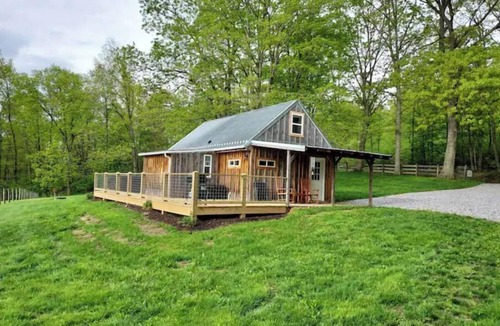 Harper Cabin | Ebenezer Cabin - Hot Tub - Fire Pit - BBQ - Views