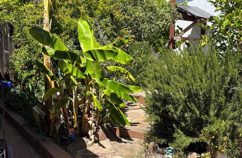Berkeley House | Elegant 2BR/2BA · AC · Walk to BART & Gourmet Ghetto