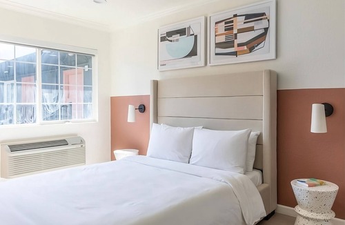 Piedmont Avenue Hotel | Explore the amazing riches of local aquatic animals in the Aquarium of the Bay!