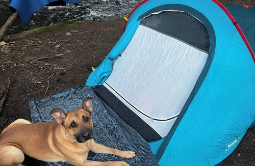 Harris RV Rental | Forest Camping Near Bethel Woods, 15 minutes to Bethel Woods Concerts, Casino,