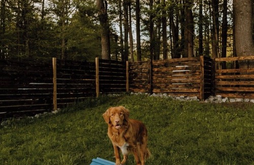 Greenville House | Greenville Getaway- Paws & Pines: pet- focused stay with HOT TUB & GAME ROOM