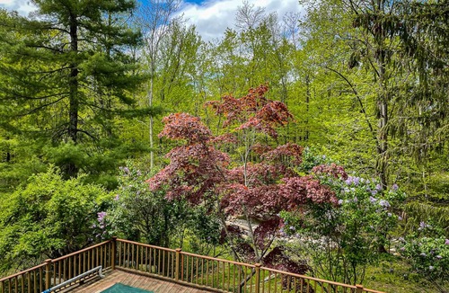 Wallkill Cottage | HIKE, SWIM, STARGAZE IN WOODS SIDING MINNEWASKA STATE PARK SHAWANGUNK MOUNTAINS