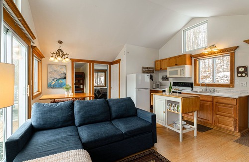 Fleischmanns Ski Chalet | HotTub and 200Mbps WiFi; work from home paradise, Wonderful Belleayre Cabin
