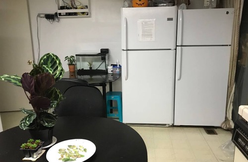 Noble House | Madison: Large, Newly Furnished Single Bedroom in San Jose/Bay Area Warmth Home!