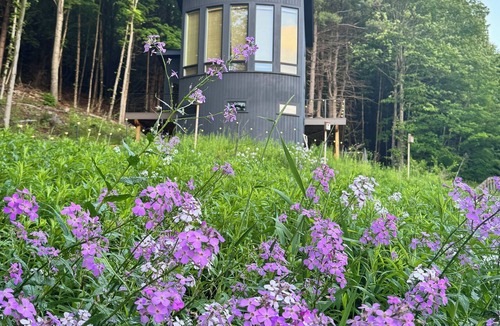 Charlotte House | Magical Forest Retreat + Sauna near Mt. Philo & Lake Champlain