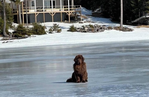 Northwest Piscataquis House | Moosehead Lakefront Camp