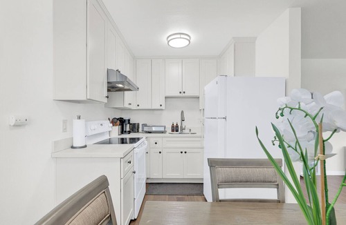 Central Berkeley Apartment | New2BR! Comfy Apt, Walk to UC Berkeley & Downtown with workspace, wifi & parking