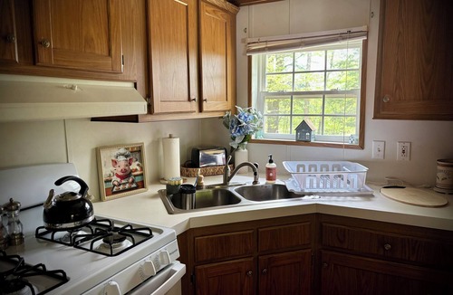 Afton House | Peaceful 5-Acre Escape Near Animal Adventure Park with Cali~King Bed & Fire Pit