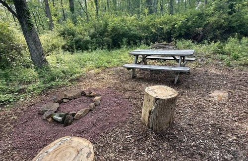 Quakertown Cabin | Pine: Serene Tiny House Nestled in the Woods in Quakertown for a Romantic Glamping Getaway in Pennsylvania