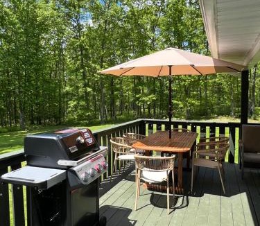 Narrowsburg House | Private vollyball court five acre home with AC in Catskills