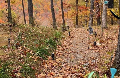 Eureka Springs Cabin | Scenic Mountain view cabin,Fireplace, Kayaks, Lake Access ,Grill,Eureka Springs