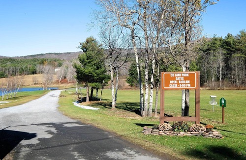 Maplecrest Cabin | Spacious Catskill Mountains ski cabin with fire pit