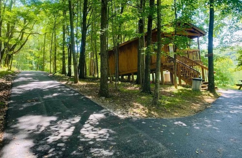 Southern Cabin | The Fox Den: A Peaceful Escape Along Back of the Dragon
