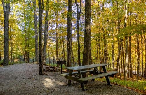 Allegheny Mountains House | Treehouse Cabin in Riverton, WV