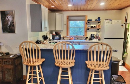 Naples Cabin | TWO CABINS ON ONE PROPERTY! ACCESS TO KAYAKS AND A BEACH AREA