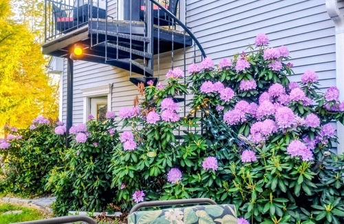 Lagrangeville Apartment | Villa Sabrina: A Serene 700 Sq Ft Studio on a 5.6-Acre Estate in Lagrangeville