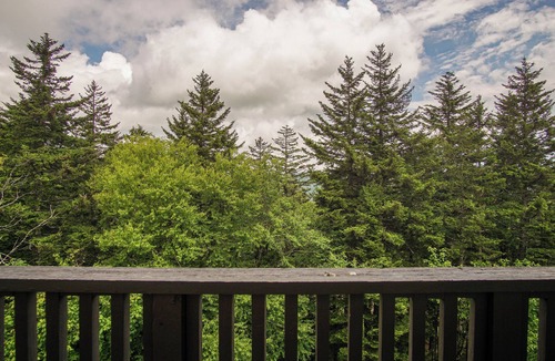 Edray Condo | Whistlepunk #12: 4 Bedroom, 3 Bath: Slope Side, Wood Fireplace.