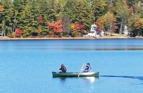 Dryden Apartment | Wilson Lake Inn, Wilton ME: Lakefront Rooms, Kayaks & Canoes WiFi Porch