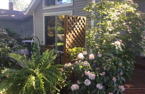Saugatuck Cottage | Your Own Private Cottage A Short Walk To Downtown Saugatuck, Michigan