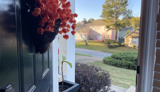 4 Bed 2.5 Bath Very Cozy Home with Outdoor Deck