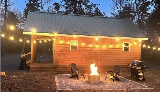Adirondack Cabin, Private Hiking trail, Fishing, FirePit, Pet, BBQ